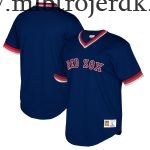 Mænd Boston Red Sox MLB Trøjer Mitchell & Ness Navy Big & Tall Cooperstown Collection Mesh Wordmark V-Neck