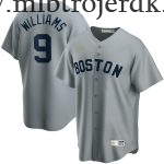 Mænd Boston Red Sox MLB Trøjer Ted Williams  Grå Road Cooperstown Collection Player