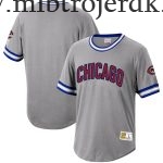 Mænd Chicago Cubs MLB Trøjer Mitchell & Ness Grå Cooperstown Collection Wild Pitch