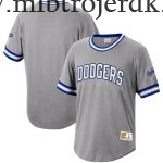 Mænd Los Angeles Dodgers MLB Trøjer Mitchell & Ness Grå Cooperstown Collection Wild Pitch