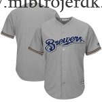 Mænd Milwaukee Brewers MLB Trøjer Majestic Grå Team Official