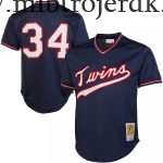 Mænd Minnesota Twins MLB Trøjer Kirby Puckett Mitchell & Ness Navy 1985 Cooperstown Collection Mesh Batting Practice