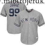 Mænd New York Yankees MLB Trøjer Aaron Judge Grå Big & Tall Player