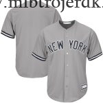 Mænd New York Yankees MLB Trøjer Grå Big & Tall Team