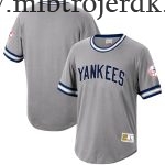 Mænd New York Yankees MLB Trøjer Mitchell & Ness Grå Cooperstown Collection Wild Pitch