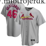 Mænd St. Louis Cardinals MLB Trøjer Paul Goldschmidt  Grå Road Player Name