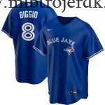 Mænd Toronto Blue Jays MLB Trøjer Cavan Biggio  Royal Player Name